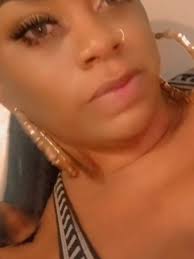 British Brat Cat (@britishbrat)