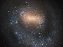 Ngc 2608 is a spiral galaxy in the cancer constellation. Solar System å¸–å­ Facebook