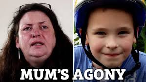 Heartbroken parents of boy, 14, killed by red-light jumping driver told her  'you may as well have killed all of us'