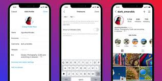 Nothing says i love you quite like a matching instagram bio. How To Add Pronouns To Your Instagram Profile 2021