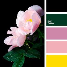 Find a great color palette from color hunt's curated collections. Black And Yellow Color Palette Ideas