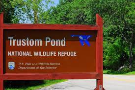 Approximately 300 bird species, more than 40 mammal species, and 20 species of reptiles and amphibians call trustom pond refuge home during the year. Trustom Pond National Wildlife Refuge South Kingstown Ri 02879