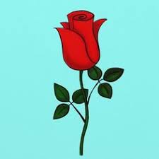 Pare complicat doar la prima vedere. 63 Trandafiri Ideas Trandafiri Picturi PicturÄƒ