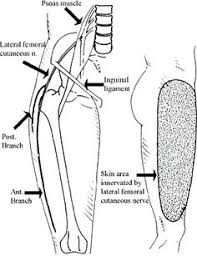 Nerve near the ischial spine. Cluneal Nerve Entrapment