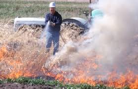 [[ar pests that are usually kept at low numbers will multiply quickly in the absence of their enemies. Physical And Mechanical Control