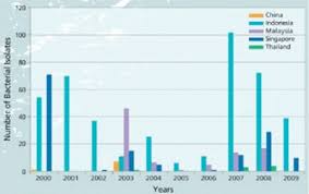 Diseases Of Farmed Barramundi In Asia The Fish Site