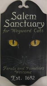 Black Cat Sanctuary Black Cat Black Cat Art Crazy Cats