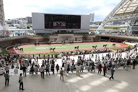 Check spelling or type a new query. ä¸»ãªæ–½è¨­ é˜ªç¥žç«¶é¦¬å ´ Jra