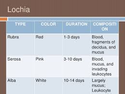 Characteristics Of Lochia Google Search Nursing