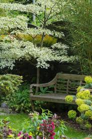 Avant Apres Un Jardin Mille Univers En 2020 Les Plus Beaux Jardins Arbres Pour Petit Jardin Beaux Jardins