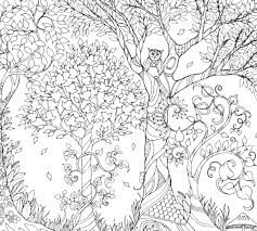Some evil denizen of the woods has taken all the colour out of these images. Online Coloring Pages Coloring Page Owl In The Woods Forest Download Print Coloring Page