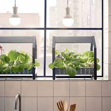 Container Garden Ideas Indoor Aquaponics Ikea Indoor Garden Ikea Plants