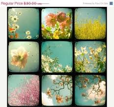 Botanical Print Set Of 9 Boho Decor Flower Wall Art Floral Etsy Flower Wall Art Floral Art Botanical Print Set