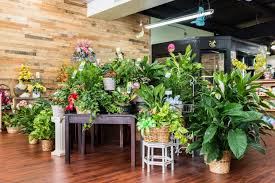 Explore the best rated trails in saint augustine, fl. Flowers By Shirley St Augustine Social Recommended
