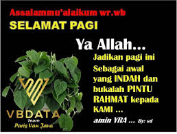 Pin Op Digital Marketing