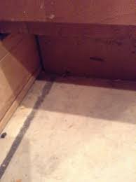 Hi My Name Is Esther And I Think My Dog Ate Poison I Sprayed Ant And Roach Spray In The Corners Of My Kitchen And I Put My Dog Inside Petcoach