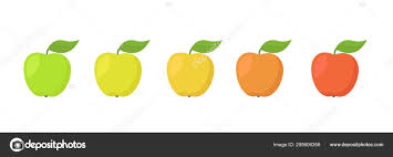 apple fruit ripeness stages chart colour gradation set