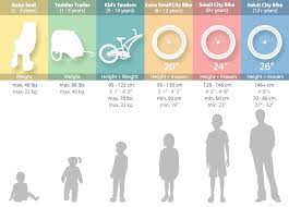 26 Explanatory Bike Age Chart