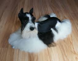 Black And White Miniature Schnauzer Pin By Erinne Kulka Sikich On Schnauzer Miniature Schnauzer Schnauzer Toy Schnauzer