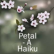 Petal A Haiku Poem Generator Cinquain Haiku Haiku Poems