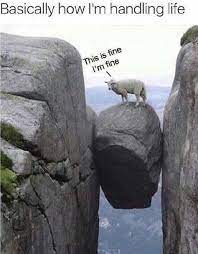 15 Sheep Memes Will Have You Giggling All Day Really Funny Memes Funny Boyfriend Memes Funny Quotes Sarcasm