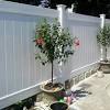 Hi, we just had a new fence installed and there is a gap at the bottom of almost all of the panels, ranging from 3 inches to almost 18 inches! Https Encrypted Tbn0 Gstatic Com Images Q Tbn And9gcrocf6klhxeznoiivz S3pdr 7qqvdpdcabrlp9y Tipo1c3iqu Usqp Cau