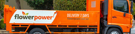 Getting It Home Flower Power