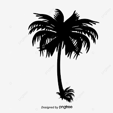 Gambar Siluet Pohon Kelapa Clipart Kelapa Kelapa Hitam Dan Putih Png Transparan Clipart Dan File Psd Untuk Unduh Gratis Tetes cairan hijau, uji tinta tinta, percikan. gambar siluet pohon kelapa clipart