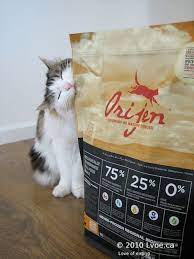 Feline Nutrition Cats In Care Dry Cat Food Cats Cat Food