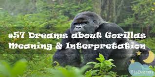 It means short relationship with a woman or partners. 57 Dreams About Gorillas Meaning Interpretation