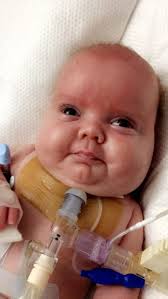 Obituary information for "Zander" Alexander Peter Johnston