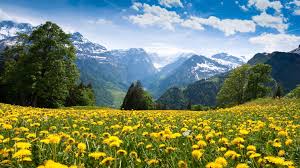 4k Spring Wallpapers Top Free 4k Spring Backgrounds Wallpaperaccess Enjoy and share your favorite beautiful hd wallpapers and background images. 4k spring wallpapers top free 4k