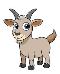 goat
