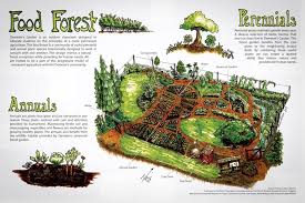 Demeter S Garden Permacultura Agrofloresta Hortas