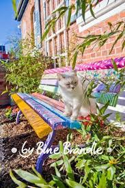 Garten Bine Brandle Banke Garten Garten Upcycling Garten Design