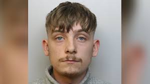 Avonmouth car meet driver sentenced for injuring pedestrian