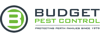 Our pest control technicians are committed, educated, and have an extensive knowledge of the pest control, termite, agricultural, and construction industry. Budget Pest Control Perth Protecting Perth Families Since 1979