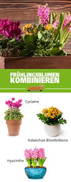 Bei globus baumarkt finden sie daher eine große auswahl an günstigen gartenhäusern aus verschiedenen materialien und in unterschiedlichen größen, die sich ideal in jeden garten einfügen. Pin Auf Fruhlingswelt
