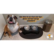 The french bulldog is a top heavy breed. Bulldog Rescue On Twitter Educationalpost Dogfoodsafety Let S Talk About Foodstorage And Safety For Dogs Please Share Bulldoghavennw Foodsafety Rescue Englishbulldog Englishbulldogrescue Pnw Pacificnorthwest Https T Co Itb97aqw3g