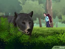 Check spelling or type a new query. 4 Ways To Keep Bears Away Wikihow
