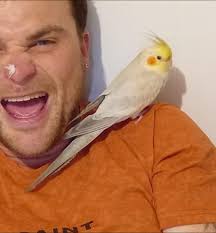 i can still see you! #spotthechinchilla