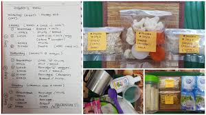 Negara mana sajakah yang terbaik di dunia untuk makanan? Ibu Ini Kongsi 5 Tips Mudah Bawa Bekal Makanan Bayi Masa Travel Tetap Bagi Real Food No Cheat Day