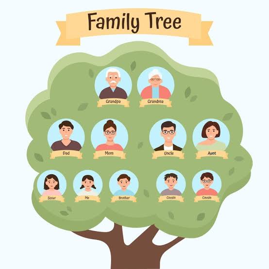 Family tree of three generation. Grandparents, parents, children. 53645171  Vector Art at Vecteezy