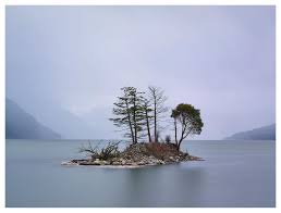 Wade Comer (@wadecomerphoto) • Instagram photos and videos