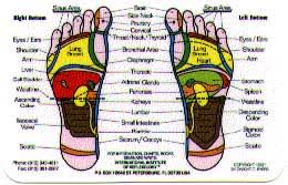 Reflexology Hand Foot Charts Wallet Cards Books