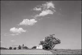 The Online Photographer