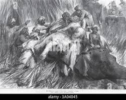 The Prince of Wales on a tiger hunt ...
