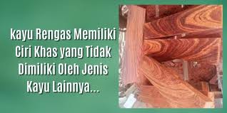 Maybe you would like to learn more about one of these? Seperti Inilah Wujud Dan Karakteristik Kayu Rengas Pro Rumah
