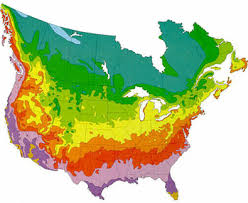 fernlea flowers ltd hardiness zone map