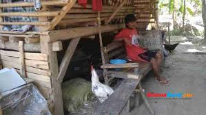 Jika menggunakan kandang panggung, jarak dari permukaan tanah bisa di beri sekitar 50 cm. Viral Keluarga Di Ciamis 5 Tahun Tinggal Di Kandang Kambing Harapan Rakyat Online